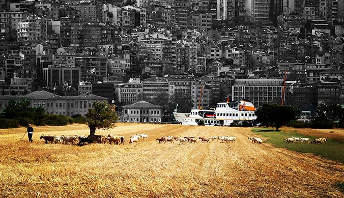 Time's Up villes et campagnes